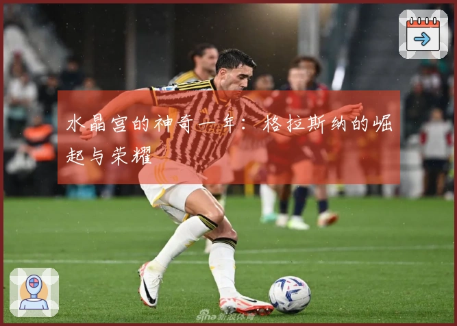 水晶宫的神奇一年：格拉斯纳的崛起与荣耀